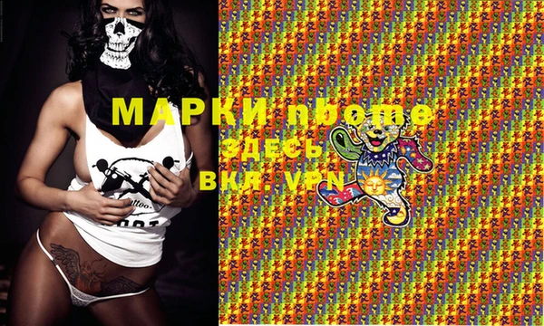 эйфоретик Покачи