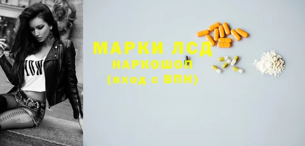 эйфоретик Покачи