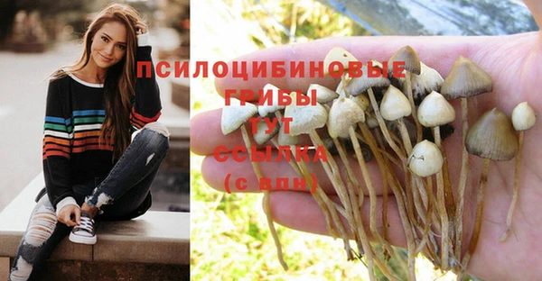 гашиш Покровск