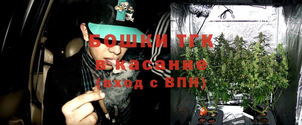 эйфоретик Покачи