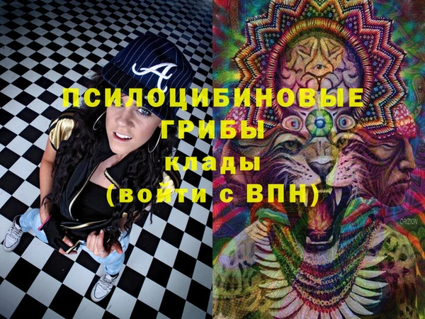 эйфоретик Покачи