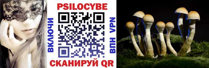 mega онион  Калининец  это клад  Галлюциногенные грибы прущие грибы 