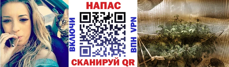 Шишки марихуана OG Kush Калининец